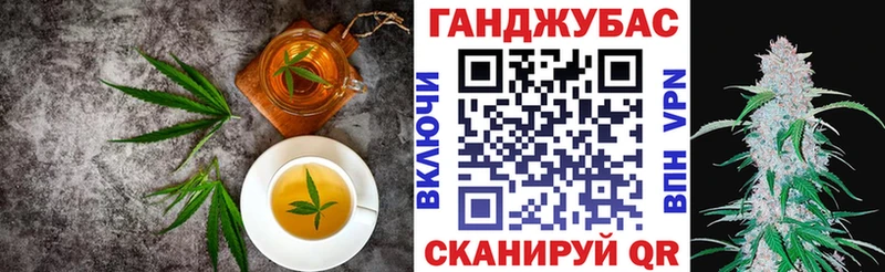 hydra tor  Сольвычегодск  Cannafood конопля  цены наркотик 