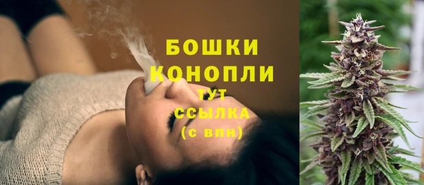 шишки Алексеевка