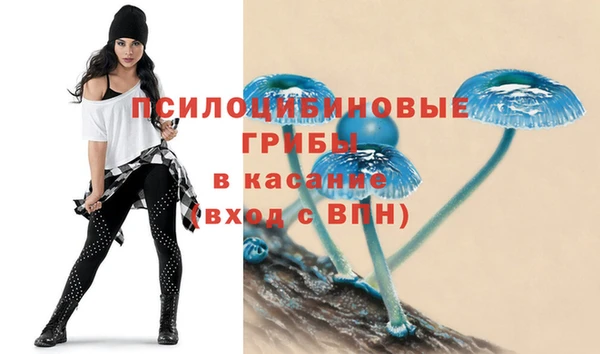 мет Осташков