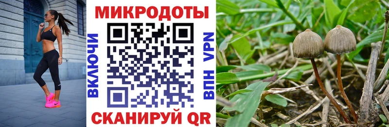 Псилоцибиновые грибы ЛСД Сольвычегодск