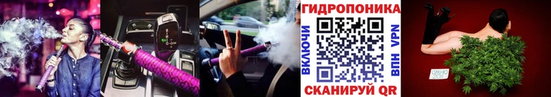 Бошки марихуана Ganja  где можно купить наркотик  сайты даркнета какой сайт  Сольвычегодск 